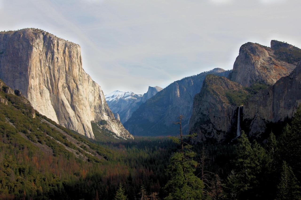 Tree House Lodge Yosemite West Kültér fotó