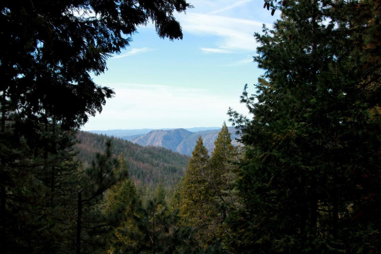 Tree House Lodge Yosemite West Kültér fotó
